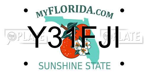 Y31FJI Florida License Plate