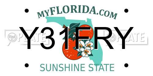 Y31FRY Florida License Plate