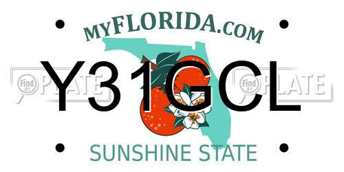 Y31GCL Florida License Plate