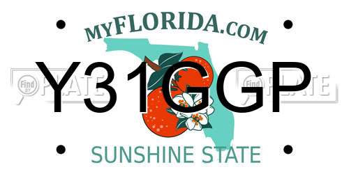 Y31GGP Florida License Plate