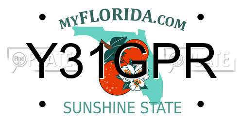 Y31GPR Florida License Plate