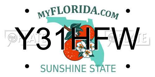 Y31HFW Florida License Plate