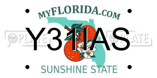 Y31IAS Florida License Plate