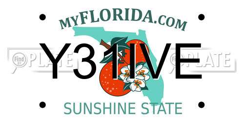 Y31IVE Florida License Plate