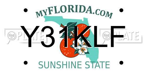Y31KLF Florida License Plate