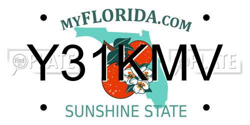 Y31KMV Florida License Plate
