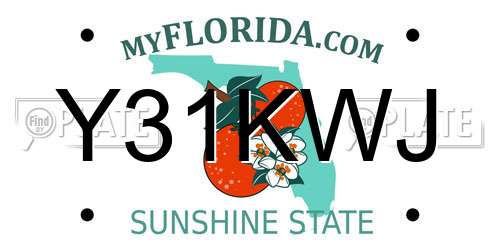 Y31KWJ Florida License Plate