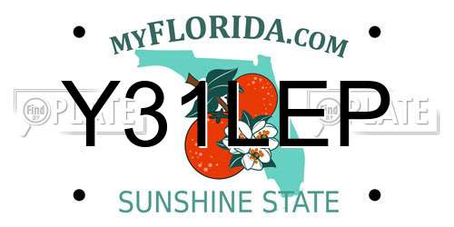 Y31LEP Florida License Plate