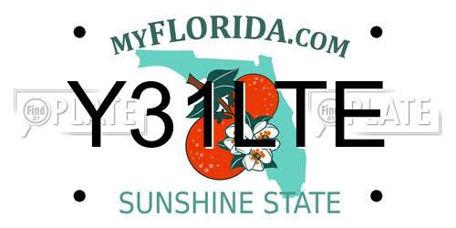 Y31LTE Florida License Plate
