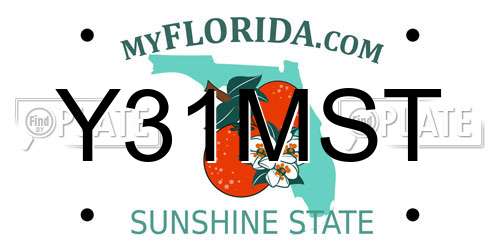 Y31MST Florida License Plate