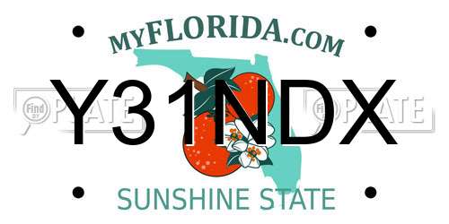 Y31NDX Florida License Plate