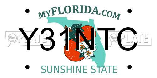 Y31NTC Florida License Plate