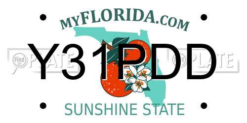 Y31PDD Florida License Plate