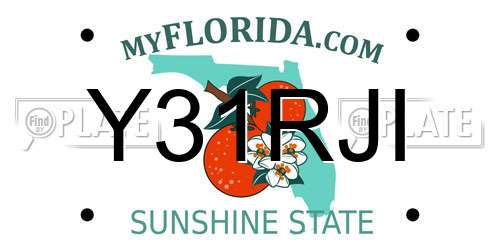 Y31RJI Florida License Plate