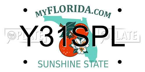 Y31SPL Florida License Plate