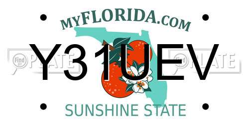 Y31UEV Florida License Plate