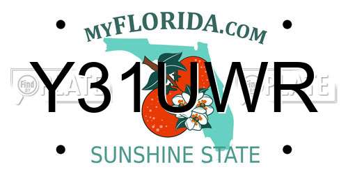 Y31UWR Florida License Plate