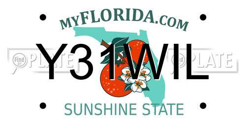 Y31WIL Florida License Plate