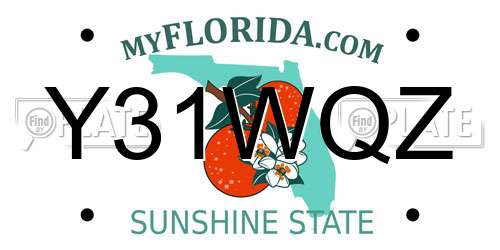Y31WQZ Florida License Plate