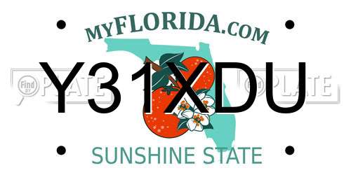 Y31XDU Florida License Plate