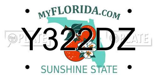 Y322DZ Florida License Plate