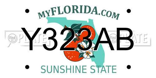 Y323AB Florida License Plate