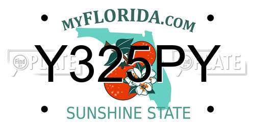Y325PY Florida License Plate