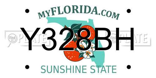 Y328BH Florida License Plate