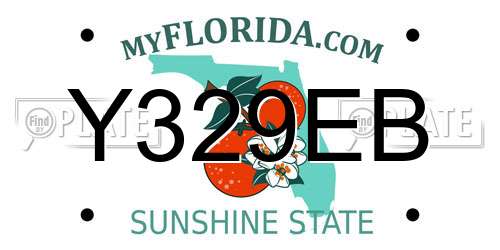 Y329EB Florida License Plate