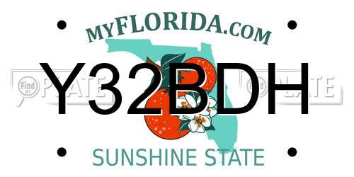 Y32BDH Florida License Plate