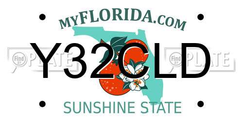 Y32CLD Florida License Plate