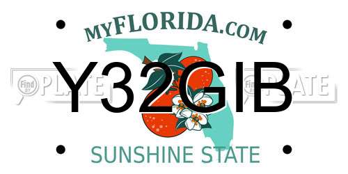 Y32GIB Florida License Plate