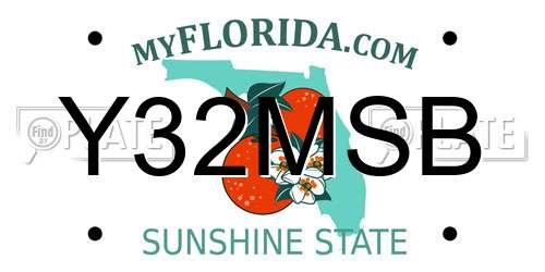 Y32MSB Florida License Plate