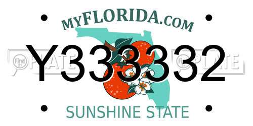 Y333332 Florida License Plate