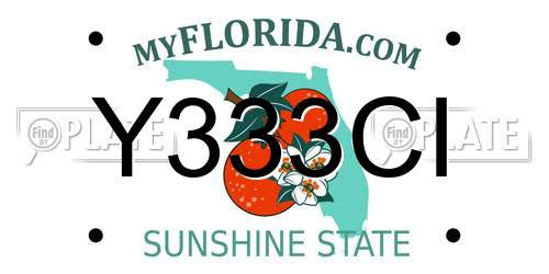 Y333CI Florida License Plate