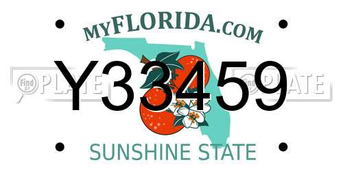Y33459 Florida License Plate