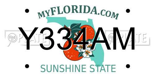Y334AM Florida License Plate
