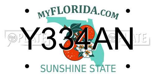 Y334AN Florida License Plate
