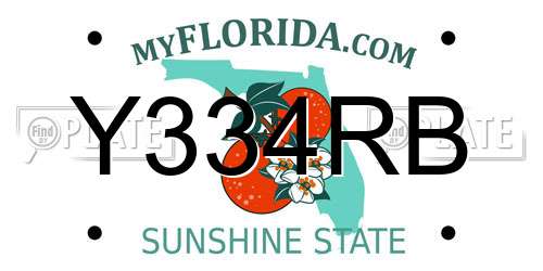 Y334RB Florida License Plate