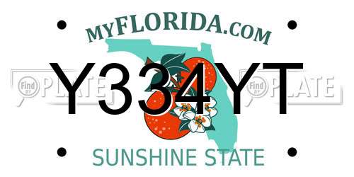 Y334YT Florida License Plate