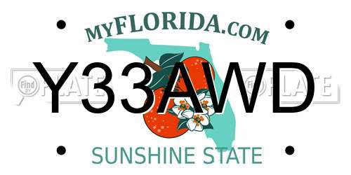Y33AWD Florida License Plate