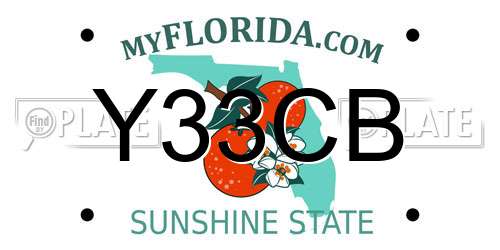 Y33CB Florida License Plate