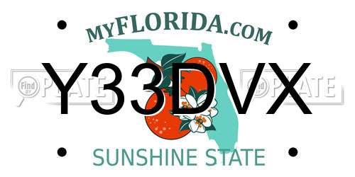 Y33DVX Florida License Plate