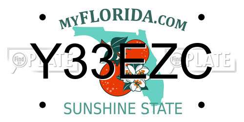 Y33EZC Florida License Plate