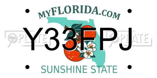 Y33FPJ Florida License Plate