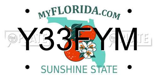 Y33FYM Florida License Plate