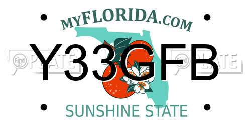 Y33GFB Florida License Plate