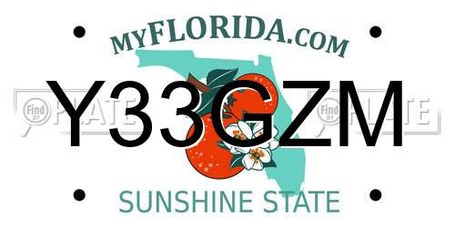 Y33GZM Florida License Plate