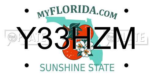Y33HZM Florida License Plate