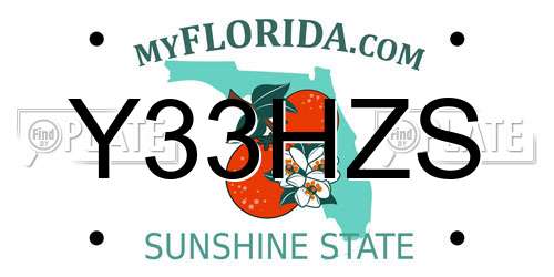Y33HZS Florida License Plate